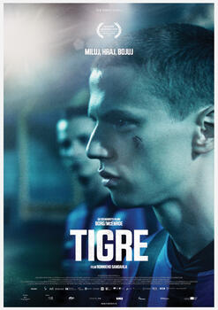 Tigre